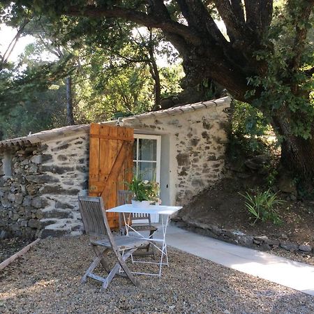 La Petite Bergerie, Les Hautes Roches Коллобрьер Экстерьер фото